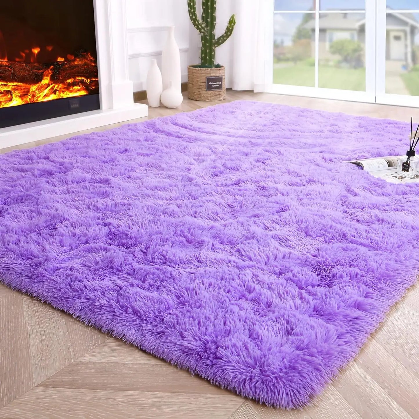 Area Rugs for Living Room