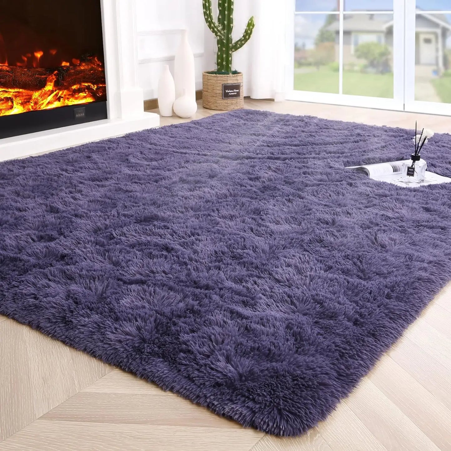 Area Rugs for Living Room