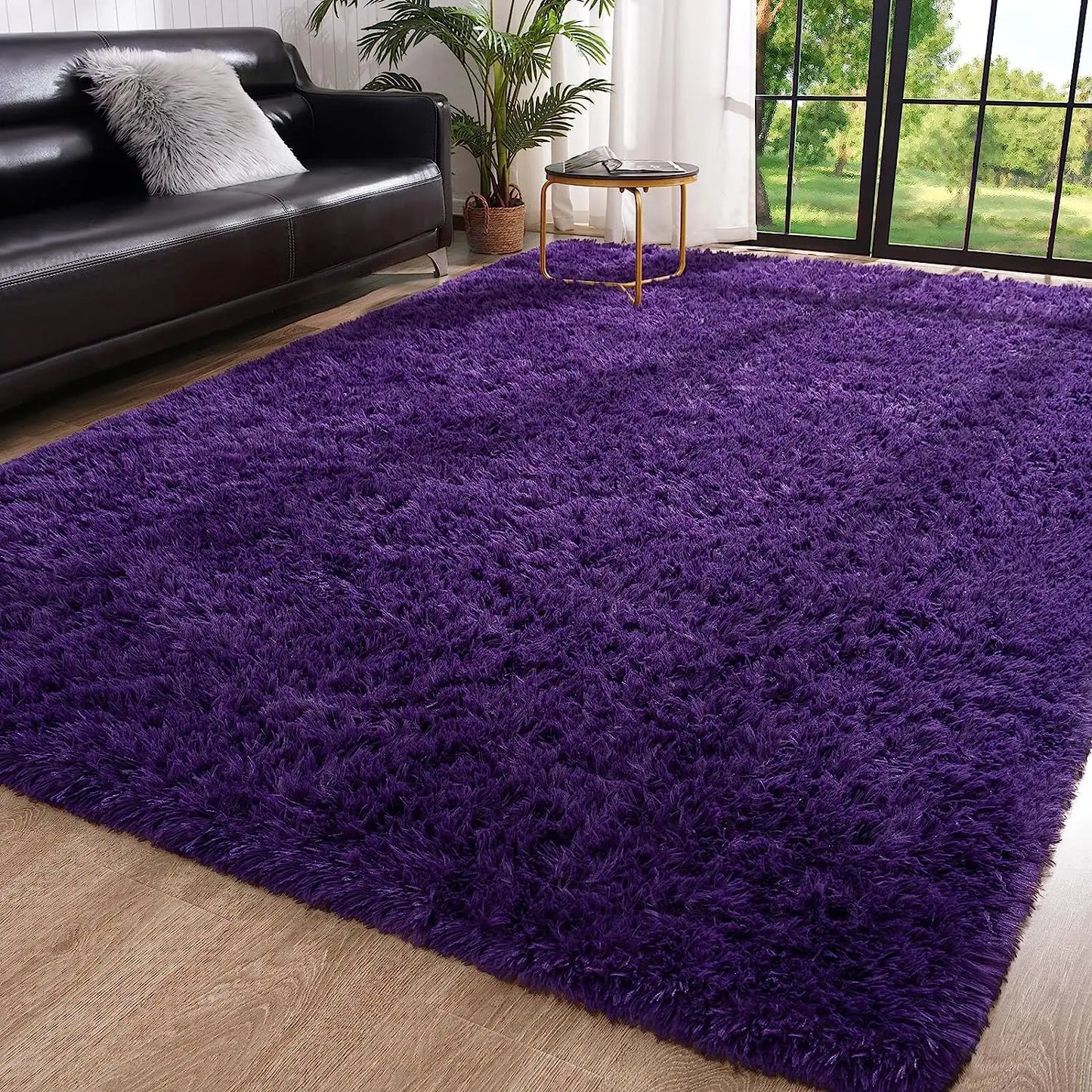 Area Rugs for Living Room