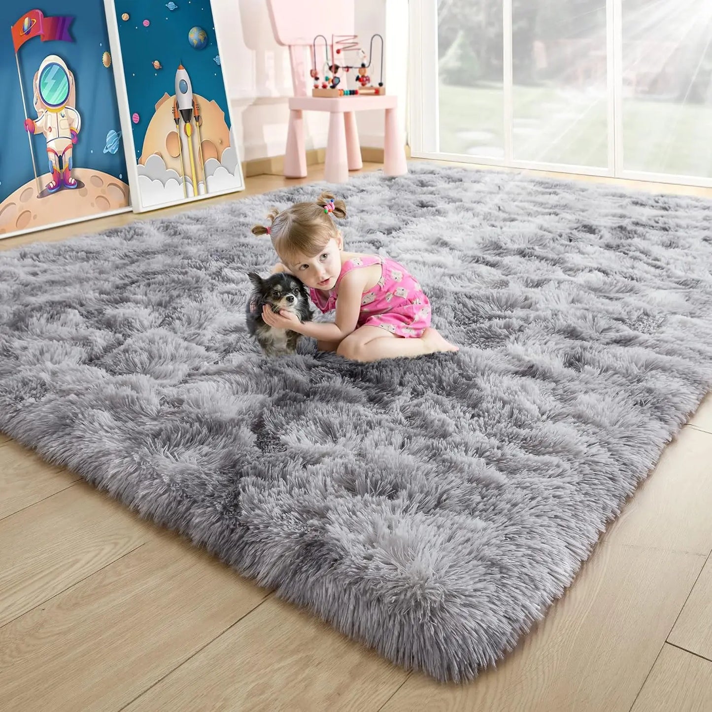 Area Rugs for Living Room
