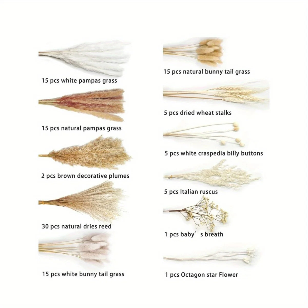 109Pcs Natural Dried Pampas Grass Bouquet with Bunny Tails