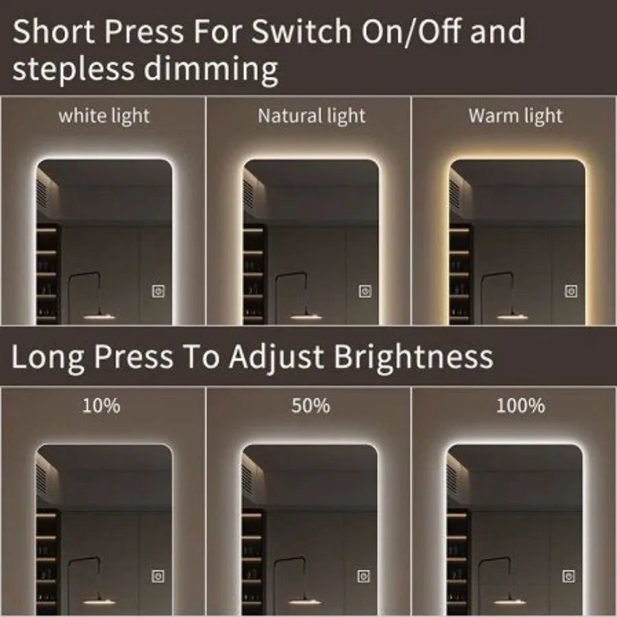 65x21in Full Body Mirror with Lights Full length mirror