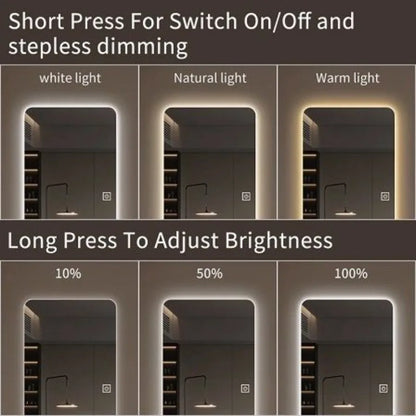 65x21in Full Body Mirror with Lights Full length mirror