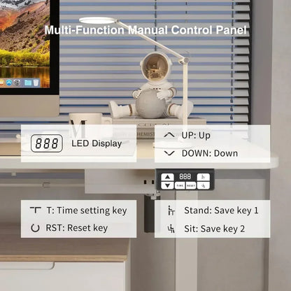Adjustable Desk Electric Standing Desk